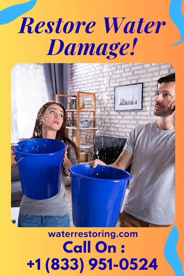 water restoration Citywide Flood Damage Network Belle Valley