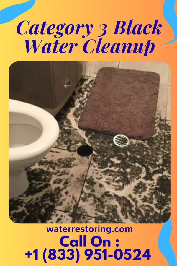 Category 3 Black Water Cleanup in Belle Valley, OH