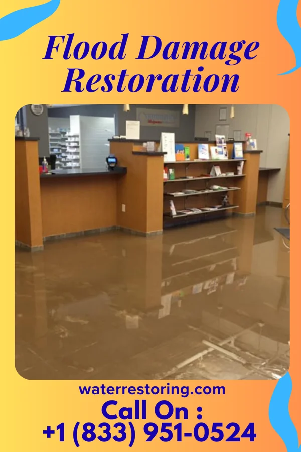 Flood Damage Restoration in Belle Valley, OH
