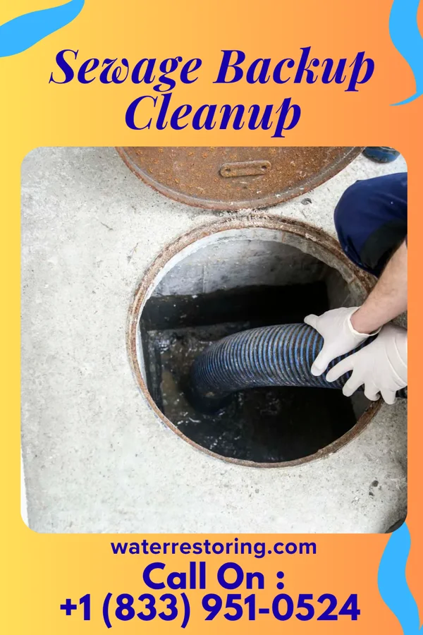 Sewage Backup Cleanup in Belle Valley, OH